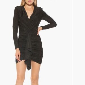 Alexia Admor Ruched Drape Minidress
AD1